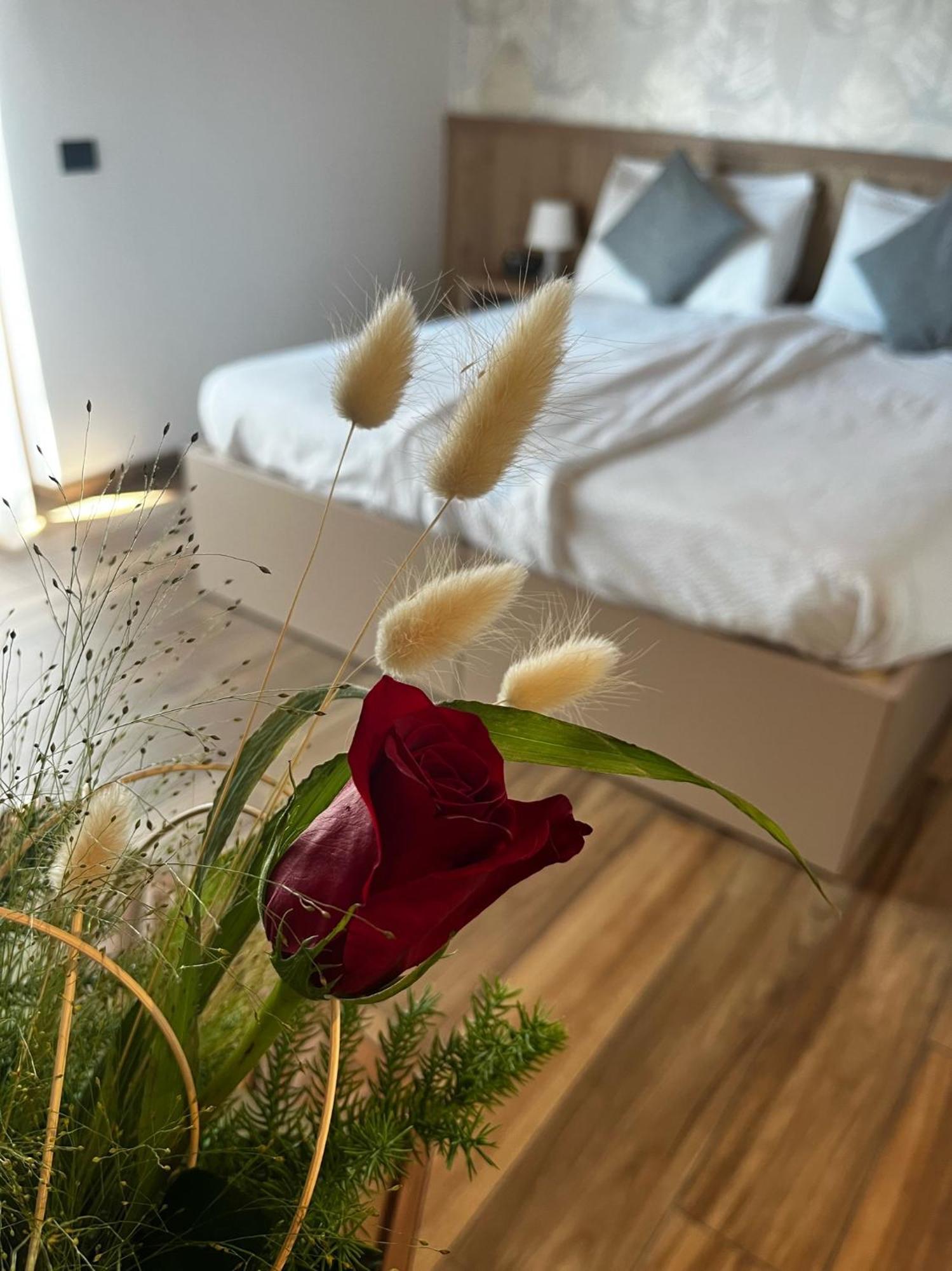 Agriturismo Maso Miri Trento Ngoại thất bức ảnh